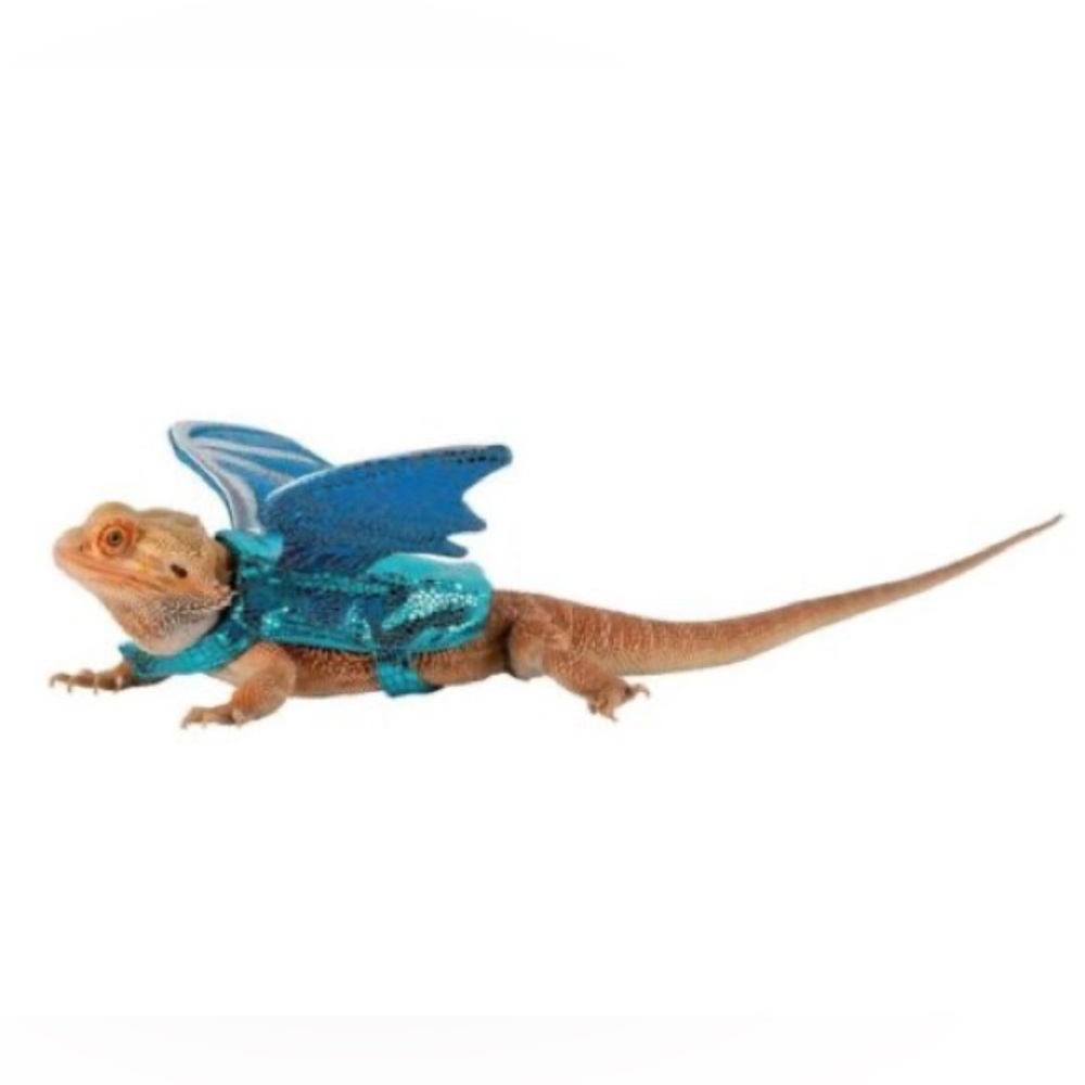 DRAGON COSTUME lizard & small animal